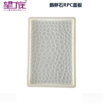 RPC cover plastic mold